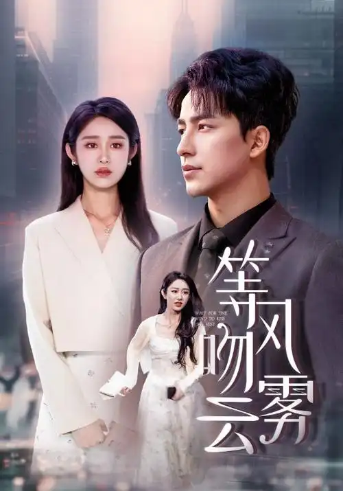 电视动画类收录刊第014号的作品档案配图